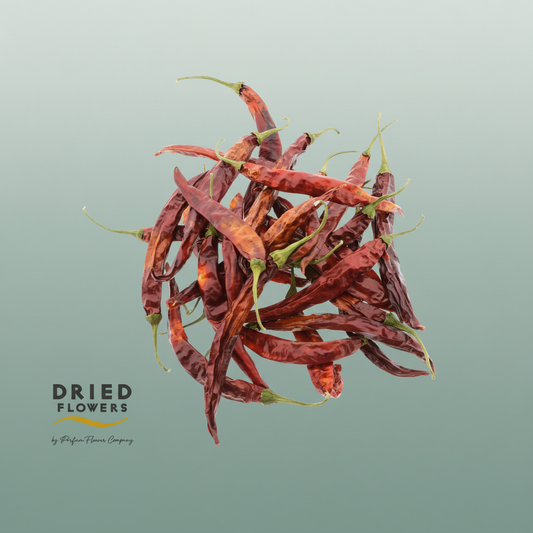 Dried Deco Red Chillies