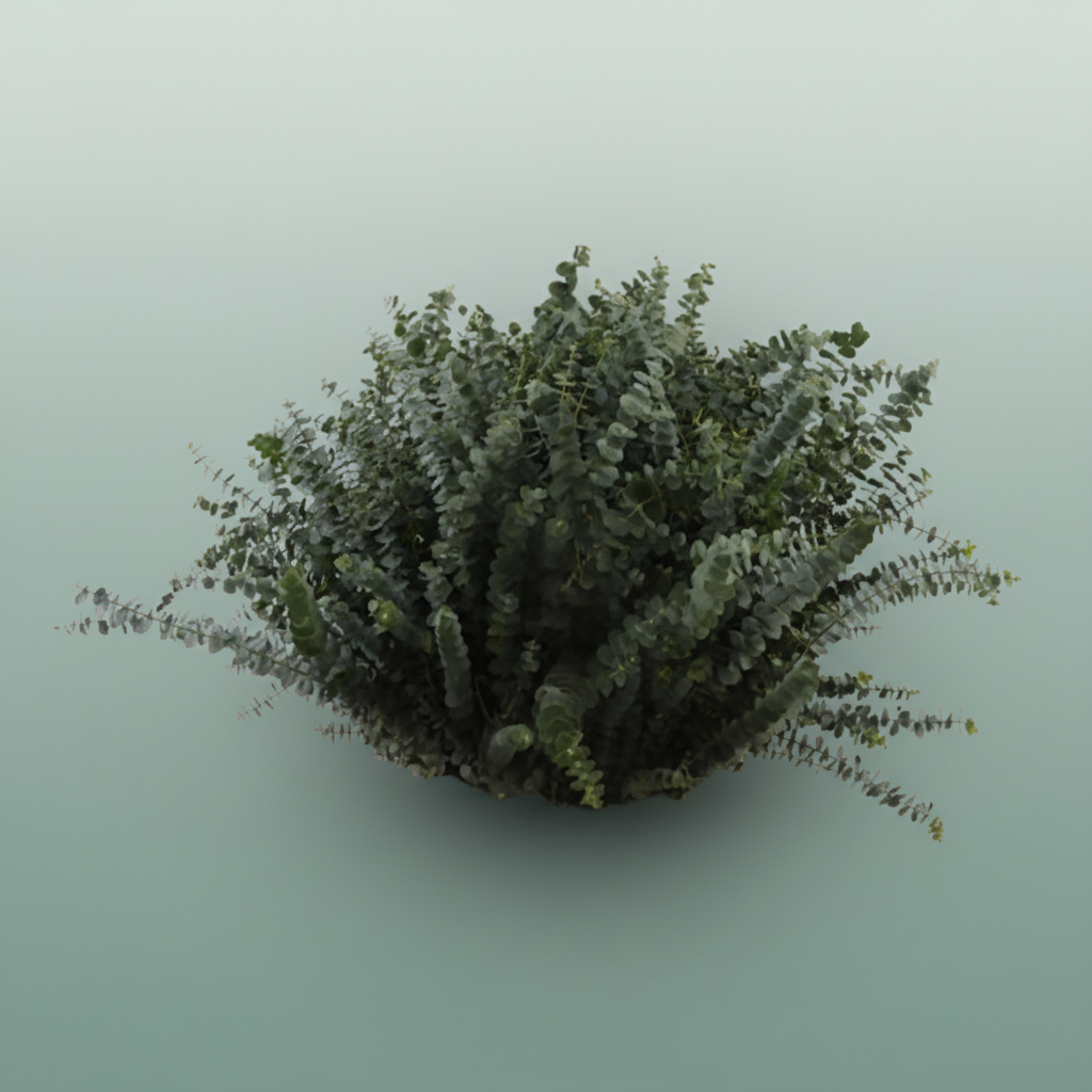 Wax Eucalyptus Baby Blue