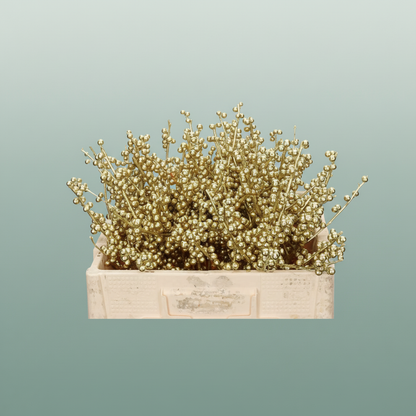 Ilex Berry Dyed Champagne