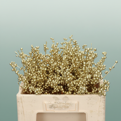 Ilex Berry Dyed Champagne