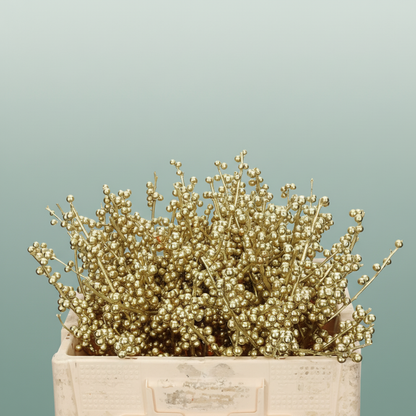 Ilex Berry Dyed Frost
