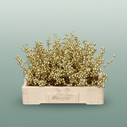 Ilex Berry Dyed Gold