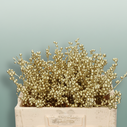 Ilex Berry Dyed Gold