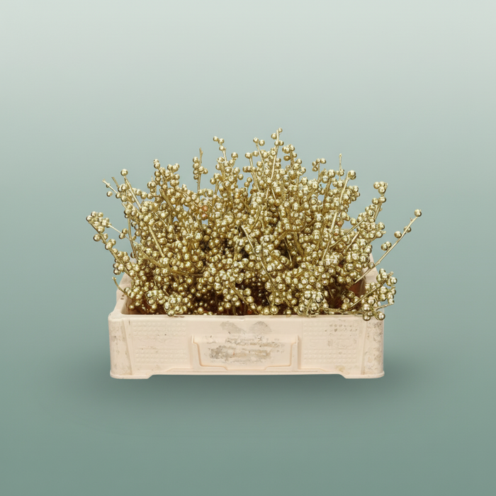 Ilex Berry Dyed Metallic Erica