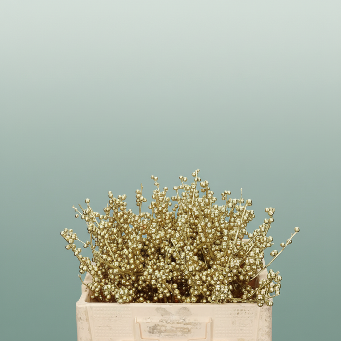Ilex Berry Dyed Metallic Milka