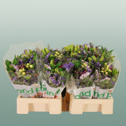Mixed Summer Bouquet - Mixed Bouquet Bs