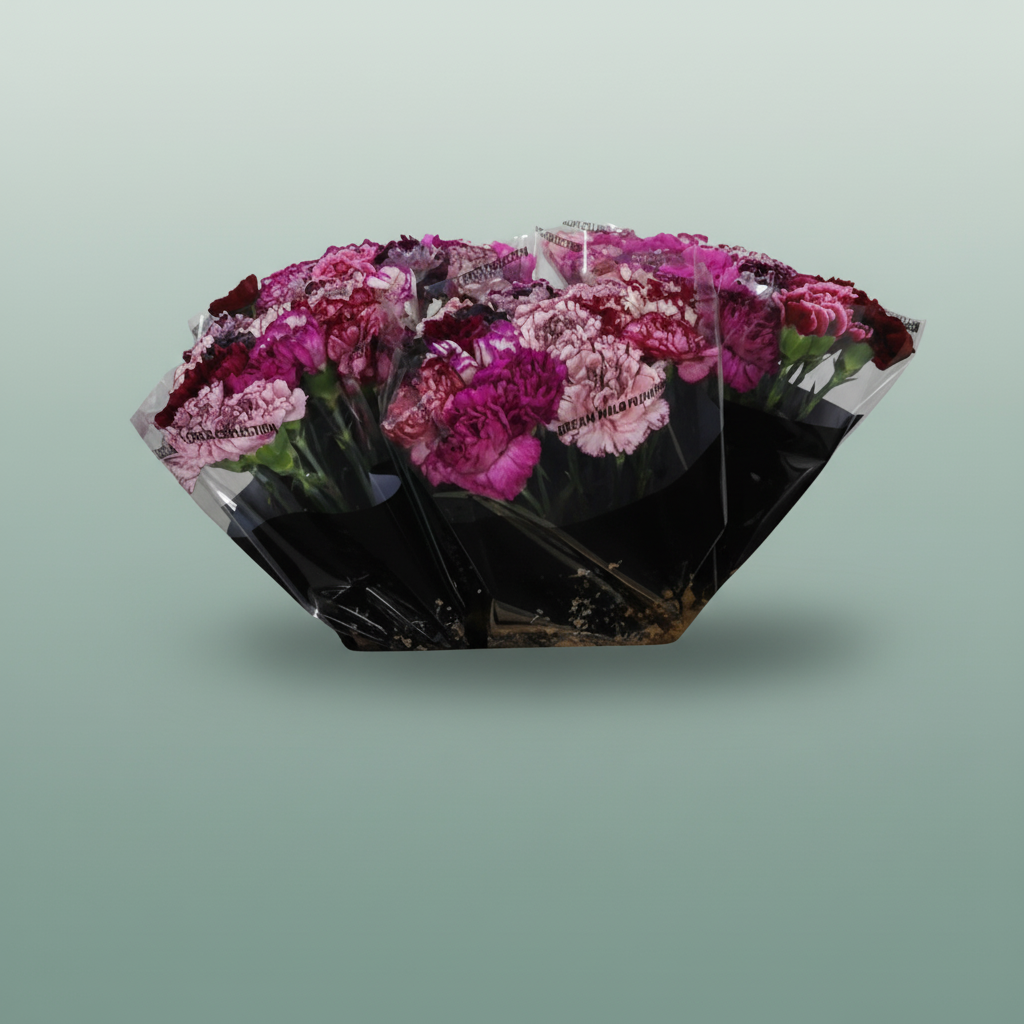 Carnation Standard Mix Purple