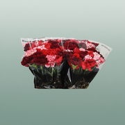 Carnation Standard Mix Red