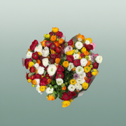 Rose - Rosa - Charming Corneille