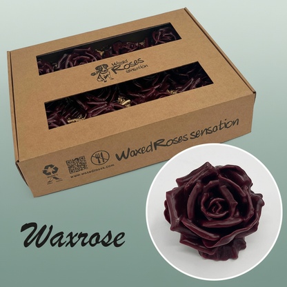 Wax Rose Head