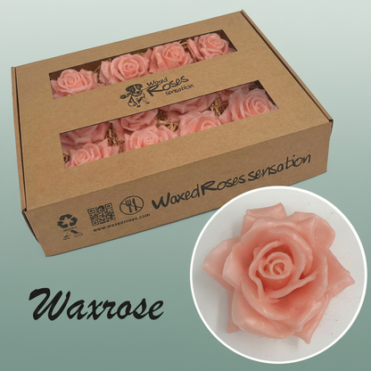 Wax Rose Head