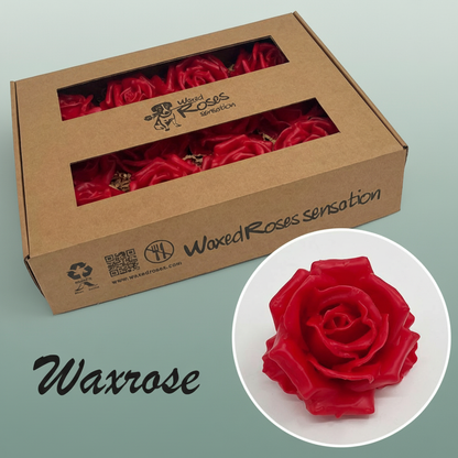 Wax Rose Head