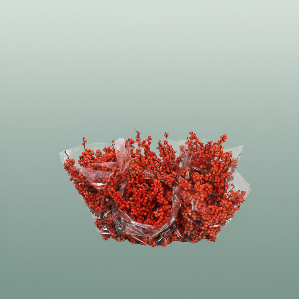 Ilex Berry Winter Gold