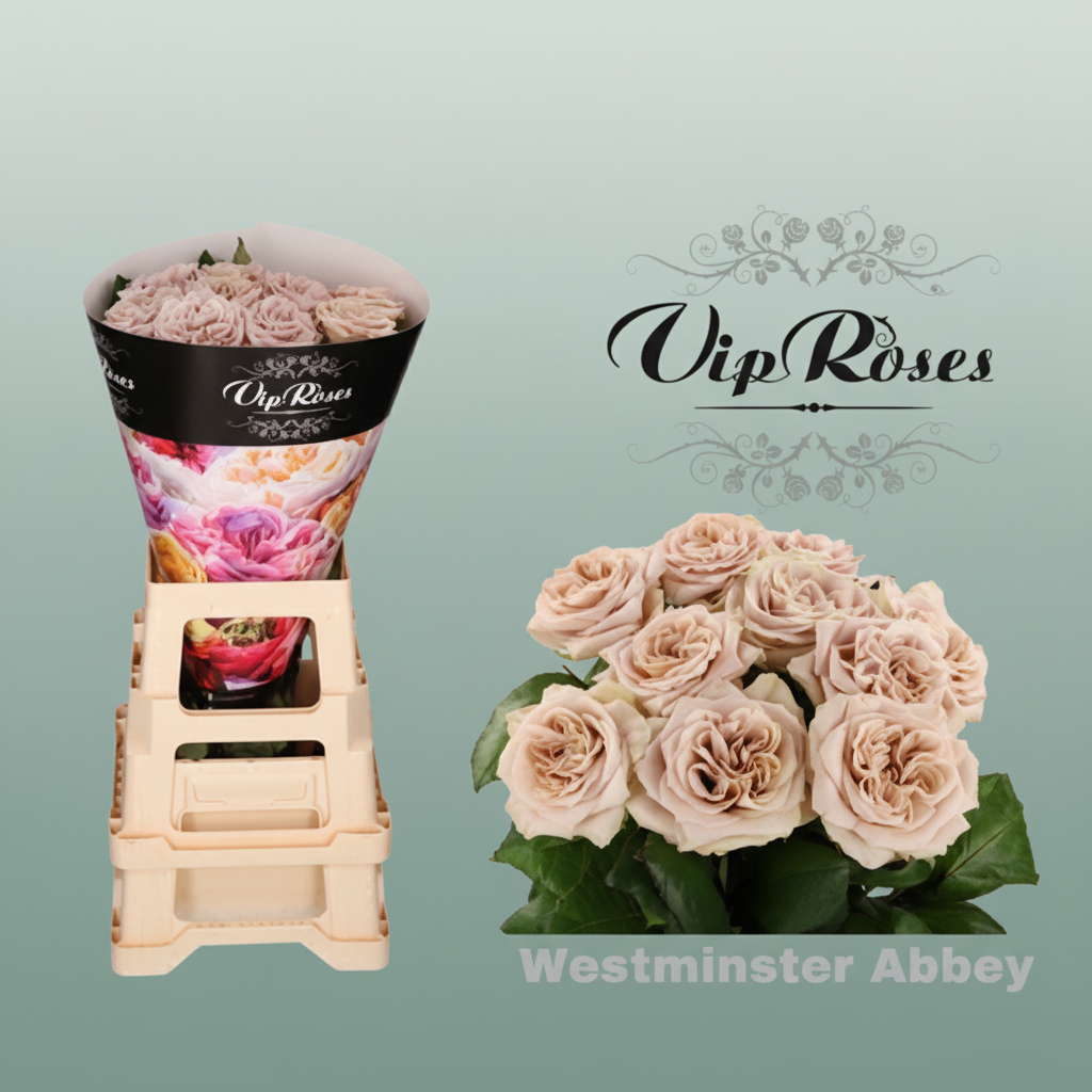 Rose Vip Wminster Abbey!