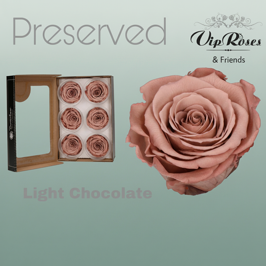 Rose Preserved Light Chocolate