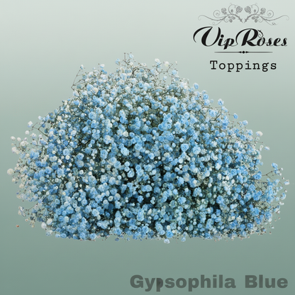 Gypsophila Dyed Blue