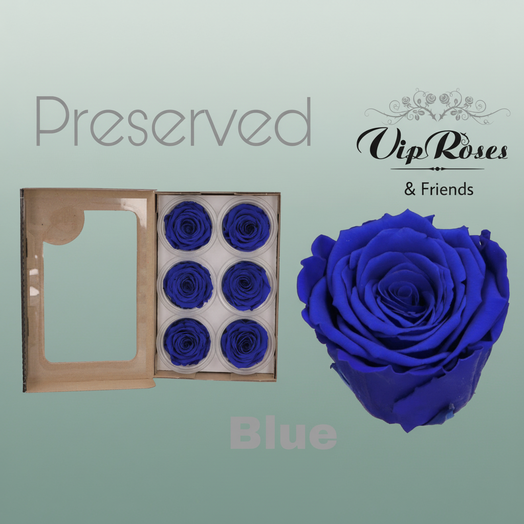 Rose Preserved Blue