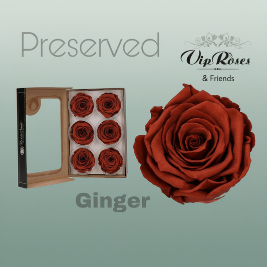 Rose Preserved Ginger