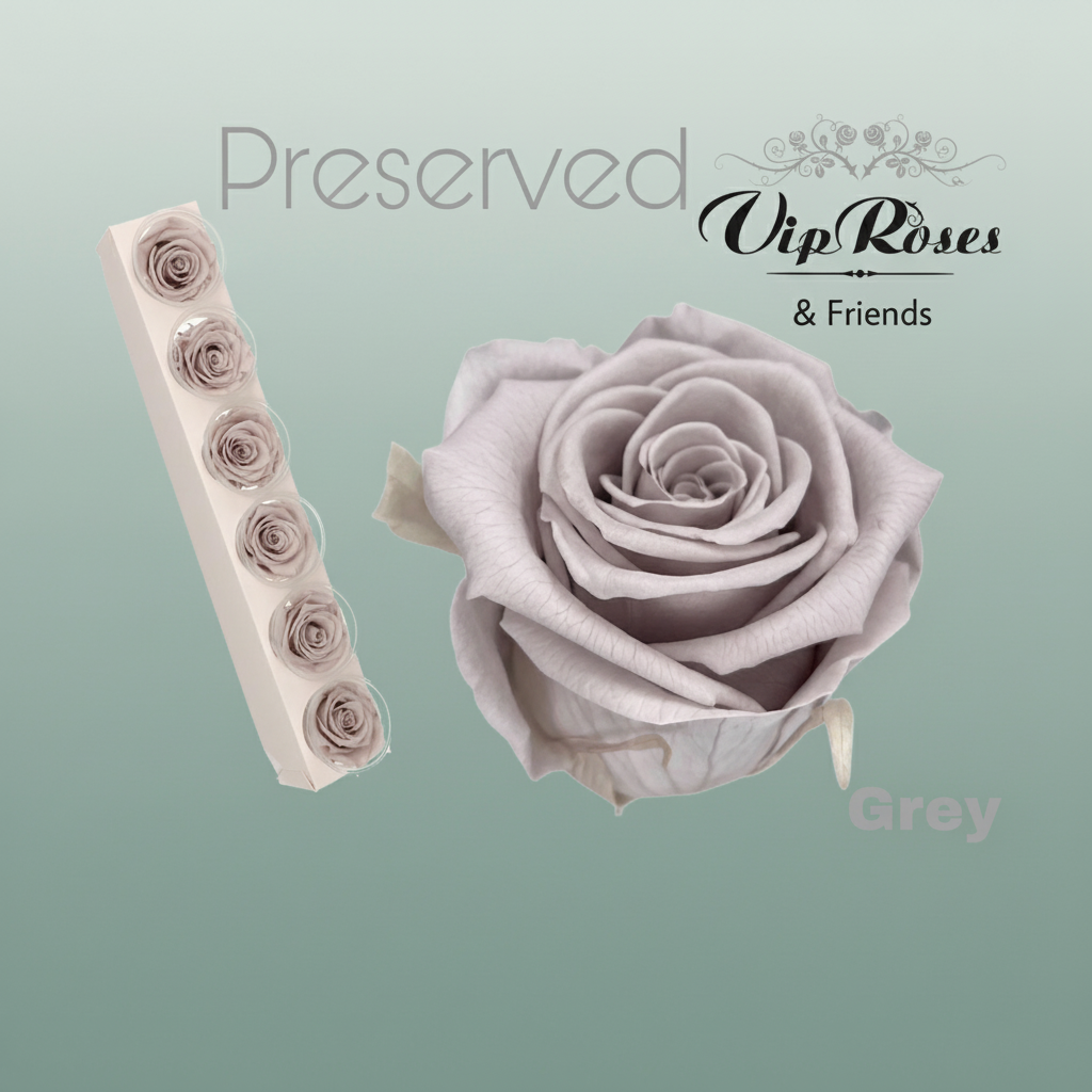 Rose Preserved Grey