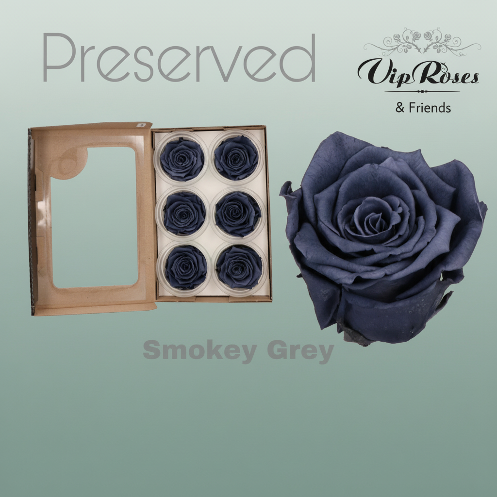 Rose Preserved Smokey Grey