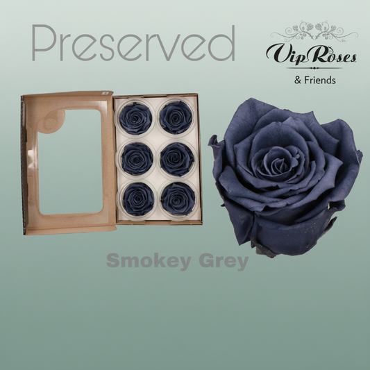 Rose Preserved Smokey Grey