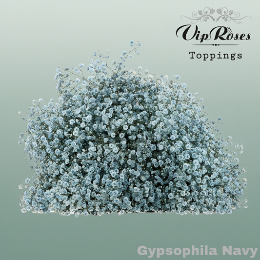 Gypsophila Dyed Navy