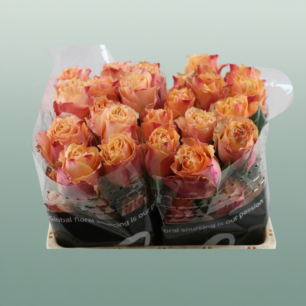 Rose Carpe Diem (20 Stems)