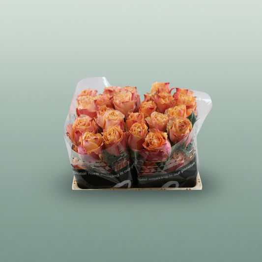 Rose Carpe Diem (20 Stems)