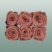 Rose Preserved Classic Pink Dusty