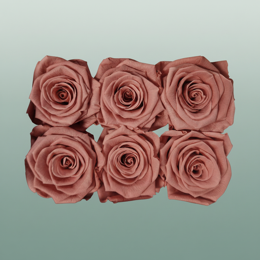 Rose Preserved Classic Pink Dusty