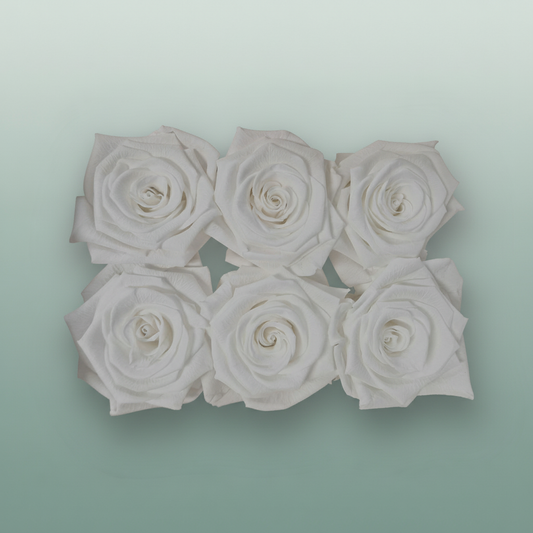 Rose Preserved Classic White