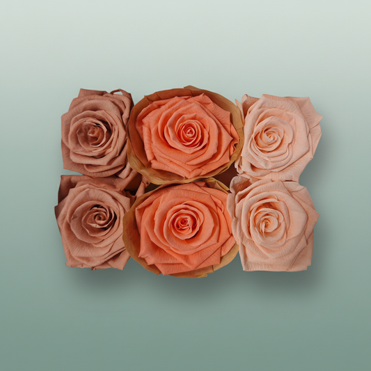 Rose Preserved Classic Mix Pink
