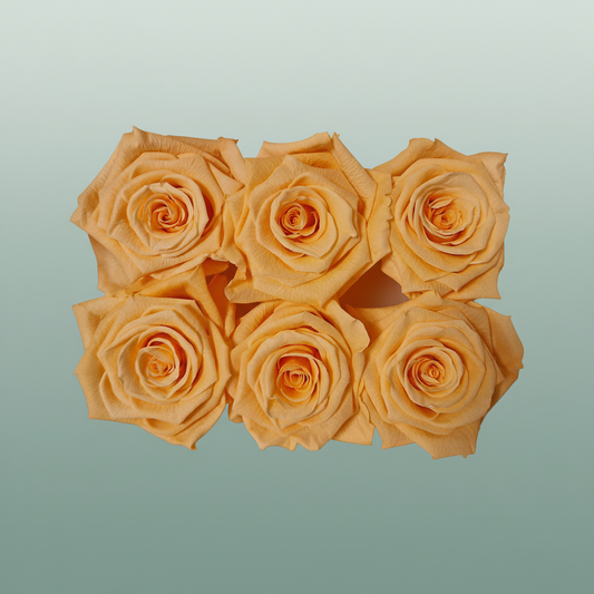 Rose Preserved Classic Peach