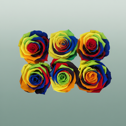 Rose Preserved Classic Rainbow