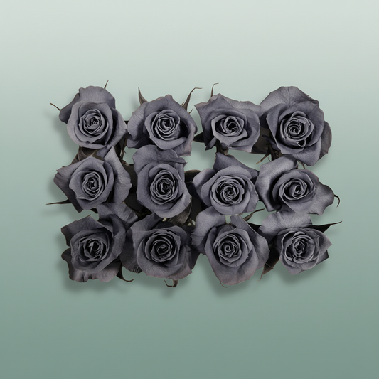 Rose Preserved Mini Graphite