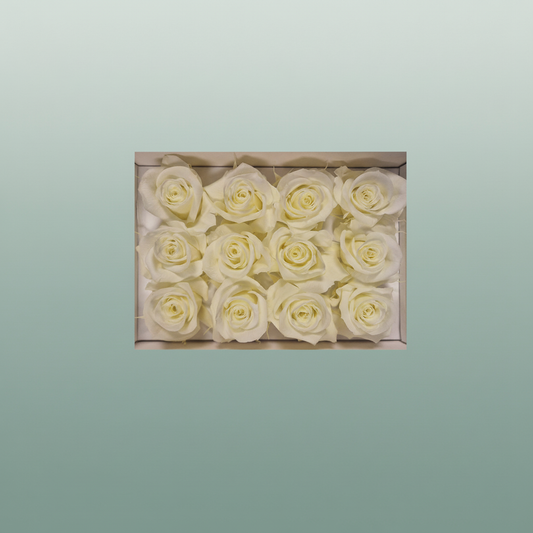 Rose Preserved Mini Creme