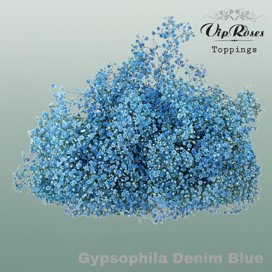 Gypsophila Dyed Denim Blue