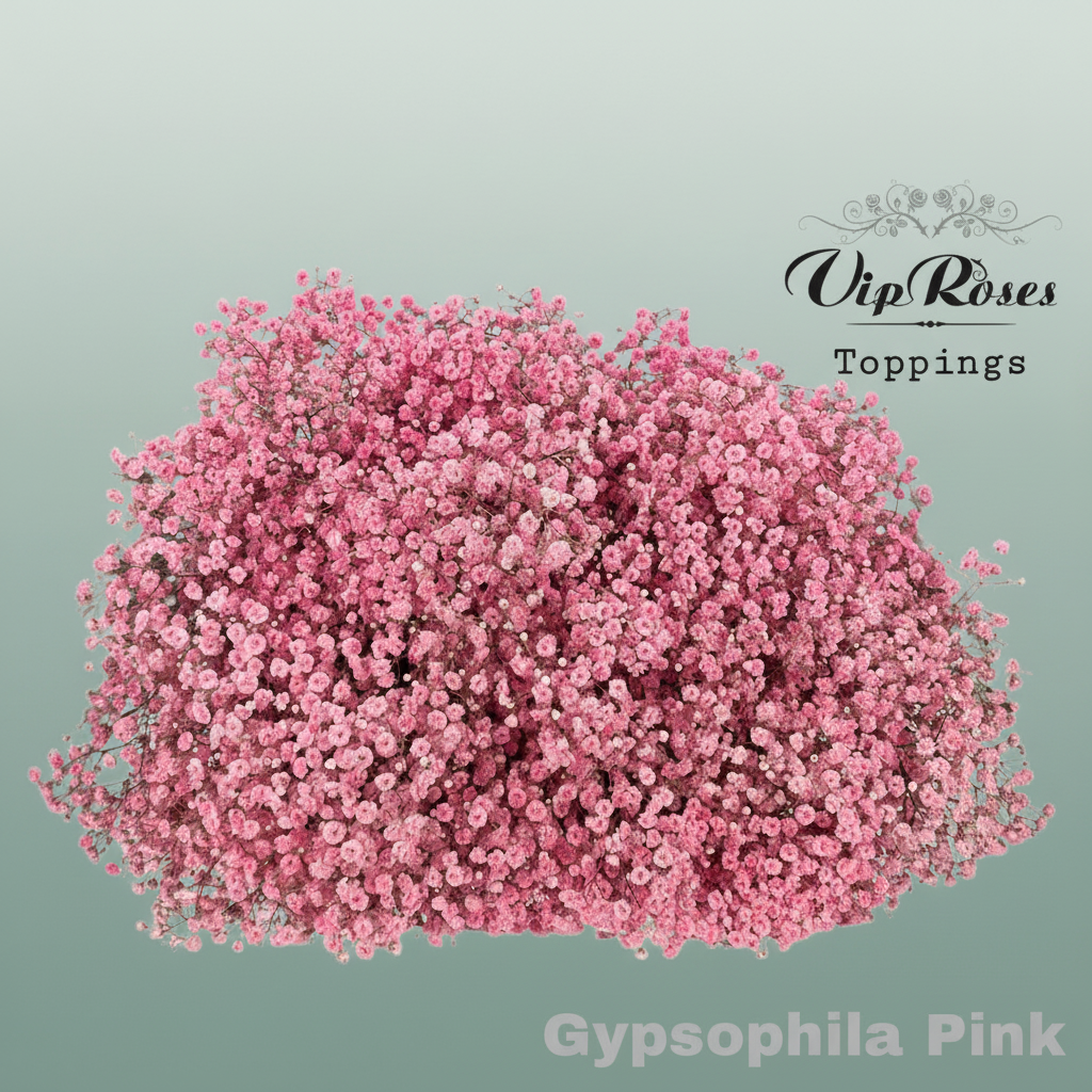 Gypsophila Dyed Pink