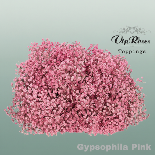 Gypsophila Dyed Pink