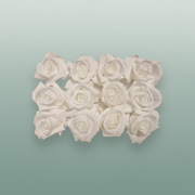 Rose Preserved Mini White