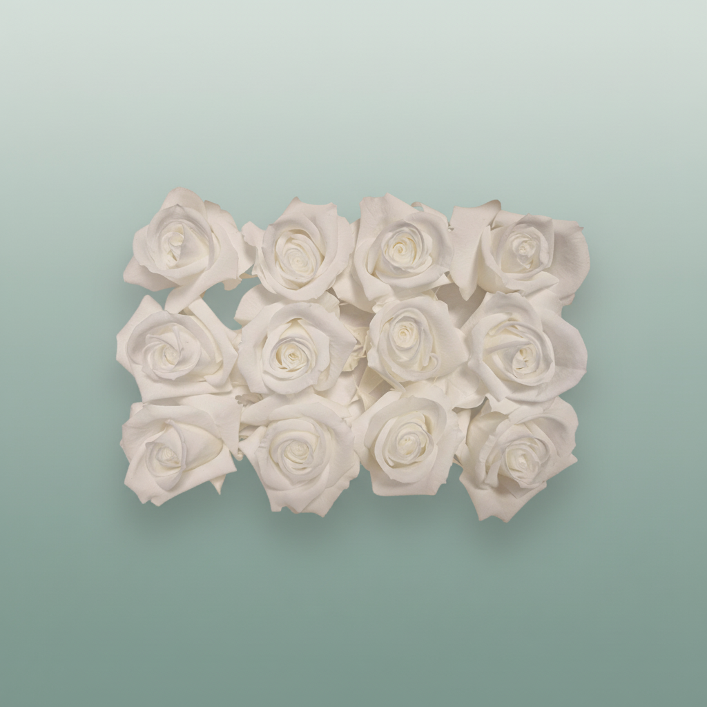 Rose Preserved Mini White