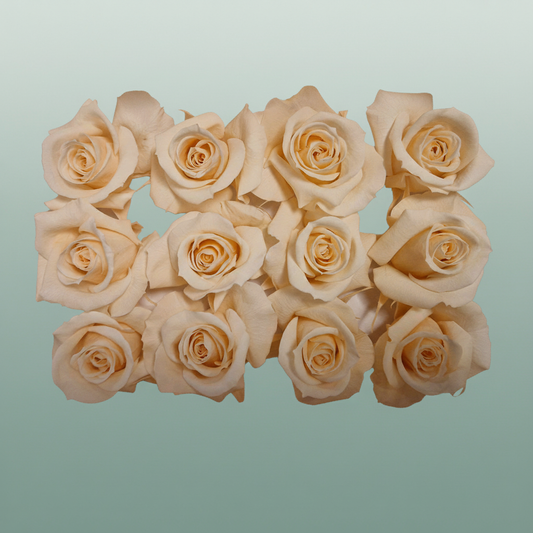 Rose Preserved Mini Champagne