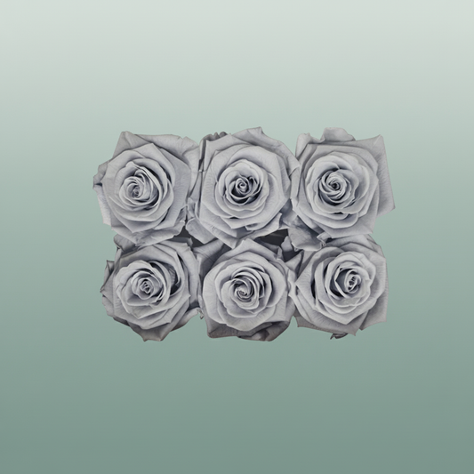 Rose Preserved Classic Grey