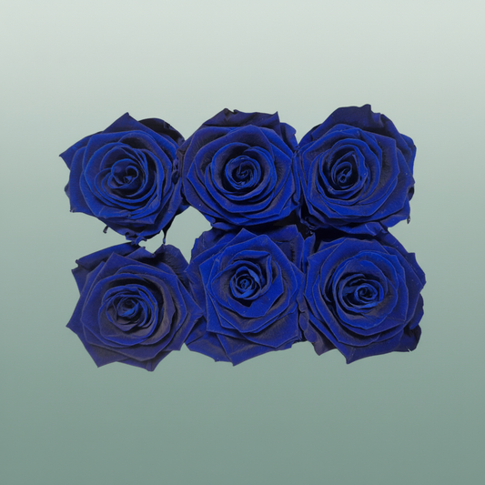 Rose Preserved Classic Blue