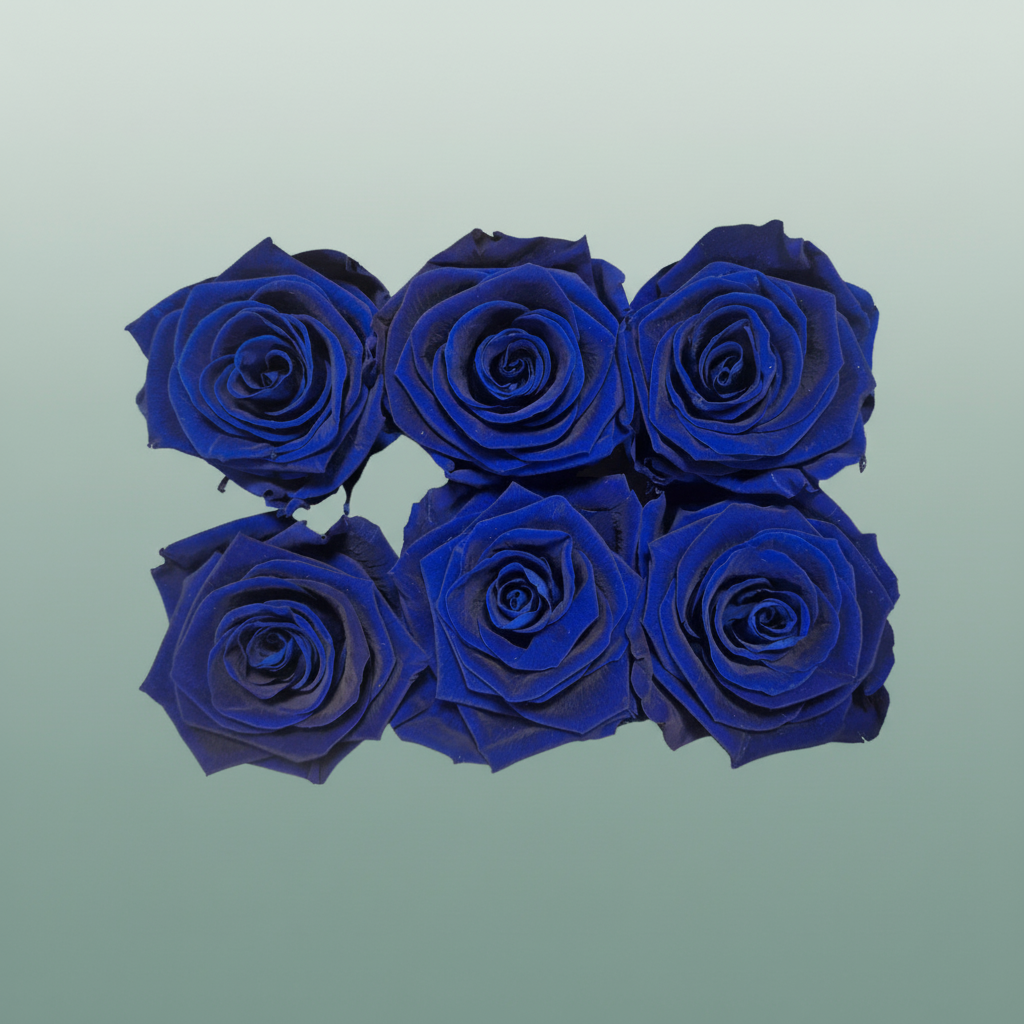 Rose Preserved Classic Blue