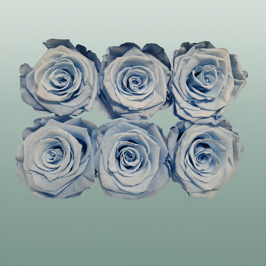 Rose Preserved Classic Blue Light