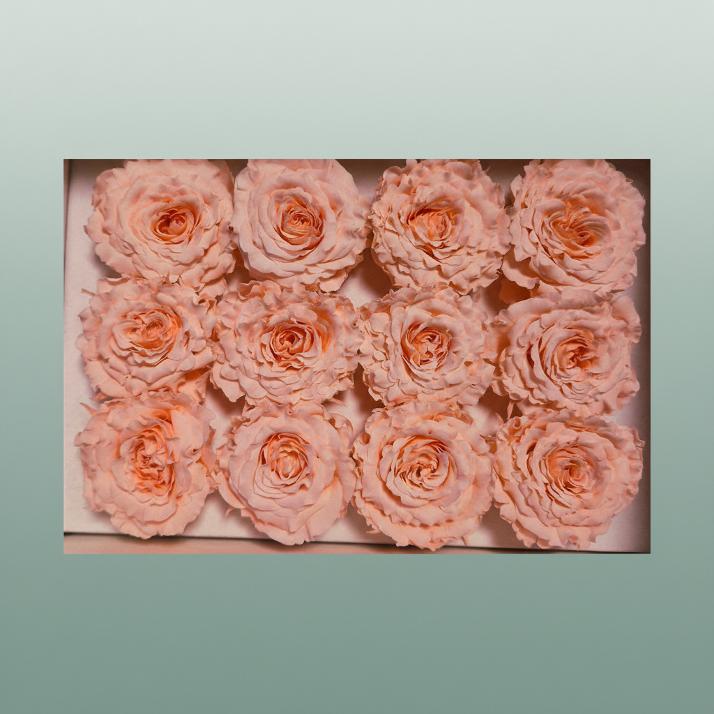 Rose Preserved Rom Mini Pink Soft