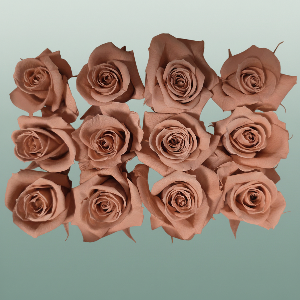 Ro Pres Mini Pink Dusty