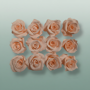 Rose Preserved Mini Pink Soft