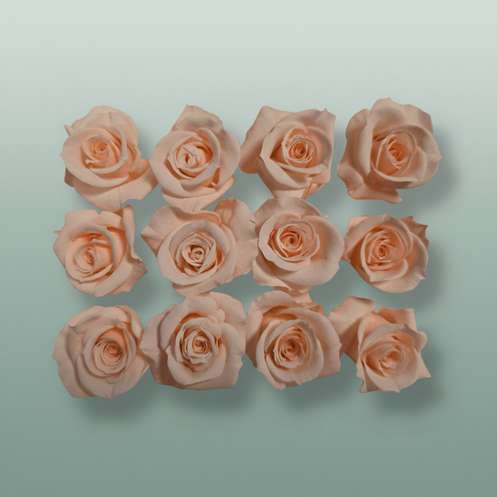 Rose Preserved Mini Pink Soft
